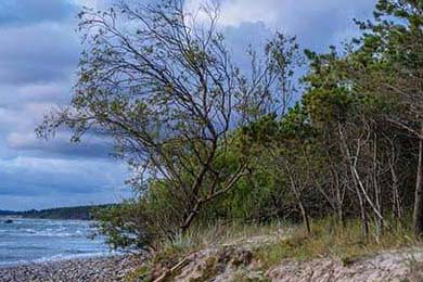 陪读妈妈怒怼牢A脖子上的“认主项链”被沪爷认出暴露真相