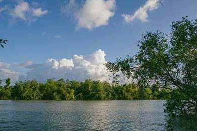 森林北住进农村老乡家亲手做拉面动作娴熟儿子首次露脸像前夫